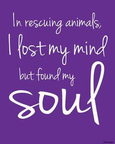 All things RESCUE!