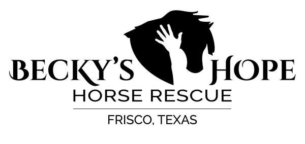 Support Becky&#39;s Hope Horse Rescue