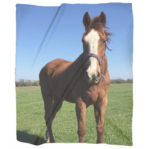 The BECKY from Becky's Hope Horse Rescue 50 x 60 Jersey Blanket Throw - Furbabies.love