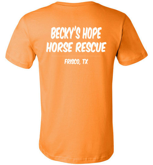 RESCUE - SAVE - LOVE - Becky's Hope Horse Rescue - Furbabies.love