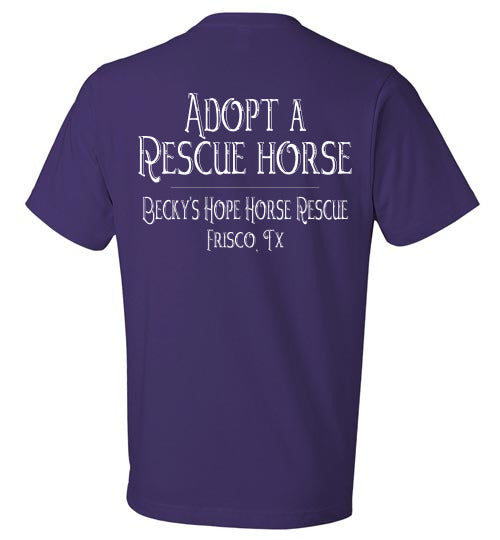 Do you want a stable relationship? Adopt a rescue horse